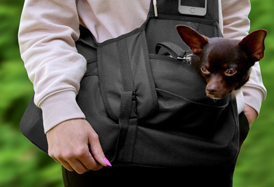 Torba do przenoszenia psa Beverly Hills rozmiar M