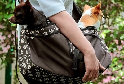 Torba do przenoszenia psa Beverly Hills Rozmiar L