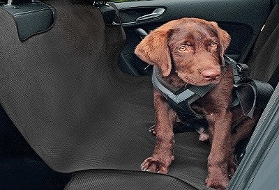 Mata samochodowa dla psa ALEX, Rozmiar L